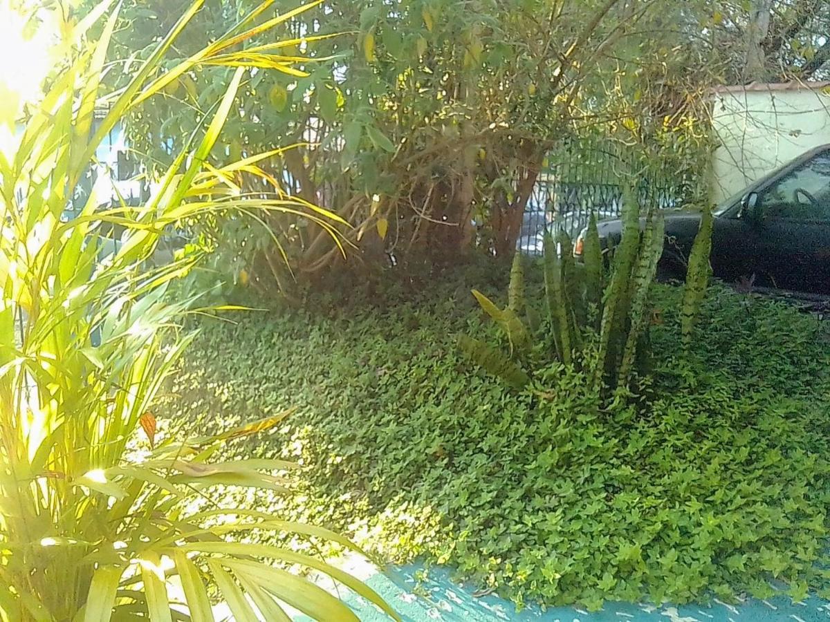 Morada Bemtevi Guest House เซาโจเซดอสกัมปอส ภายนอก รูปภาพ